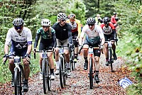 Gravel Ride & Race Bern. Frauen und Männer auf Gravelbikes im Wald.