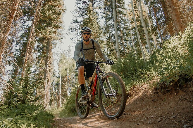 Bundeswaldgesetz Deutschland. Eine Person fährt auf einem Mountainbike im Wald.