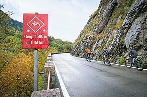 Ein rotes Hinweisschild steht an einem Strassenrand.