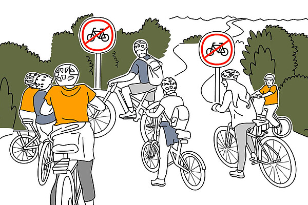 Der Kanton Zug sagt Ja zum neuen Waldgesetz.