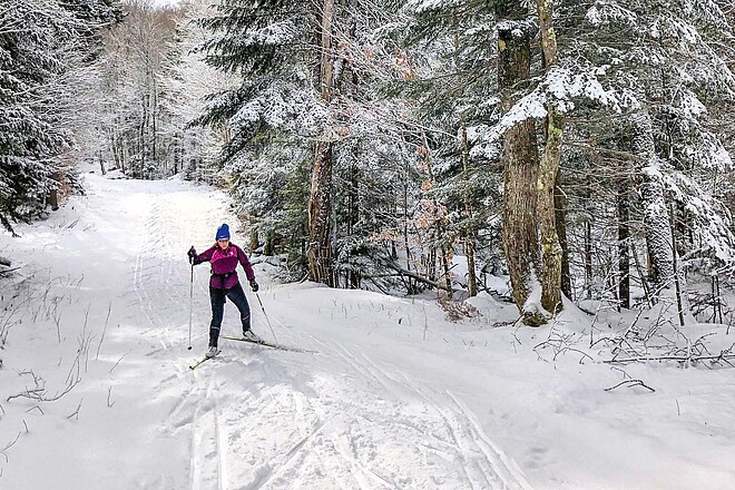 Wintertraining für Radfahrer. Eine Person fährt auf Langlaufski durch einen verschneiten Wald auf einer Loipe.