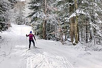 Wintertraining für Radfahrer. Eine Person fährt auf Langlaufski durch einen verschneiten Wald auf einer Loipe.
