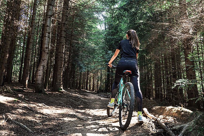 Frau auf Mountainbike in einem Fichten-Wald
