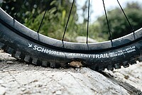 Schwalbe Radialreifen Albert und Shredda.