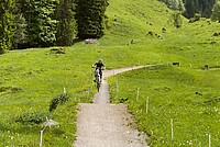Biketrails für Kinder. Marbachegg Flowtrails. Ein Biker springt in die Luft.