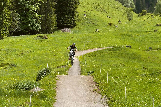 Biketrails für Kinder. Marbachegg Flowtrails. Ein Biker springt in die Luft.