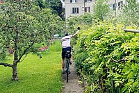 Ein Radfahrer in einem grünen Garten