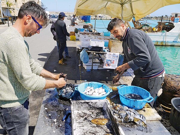 Fahrradreise Apulien. Fischhändler am Hafen.