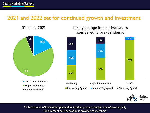 Grafik mit Balken und Kuchendiagrammen