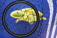 Schwalbe Green Marathon aus Fischernetzen