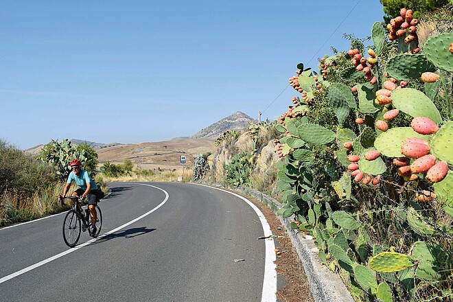 Mit dem Fahrrad rund um Italien. Rennradfahrerin auf einer Strasse.