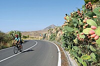 Mit dem Fahrrad rund um Italien. Rennradfahrerin auf einer Strasse.